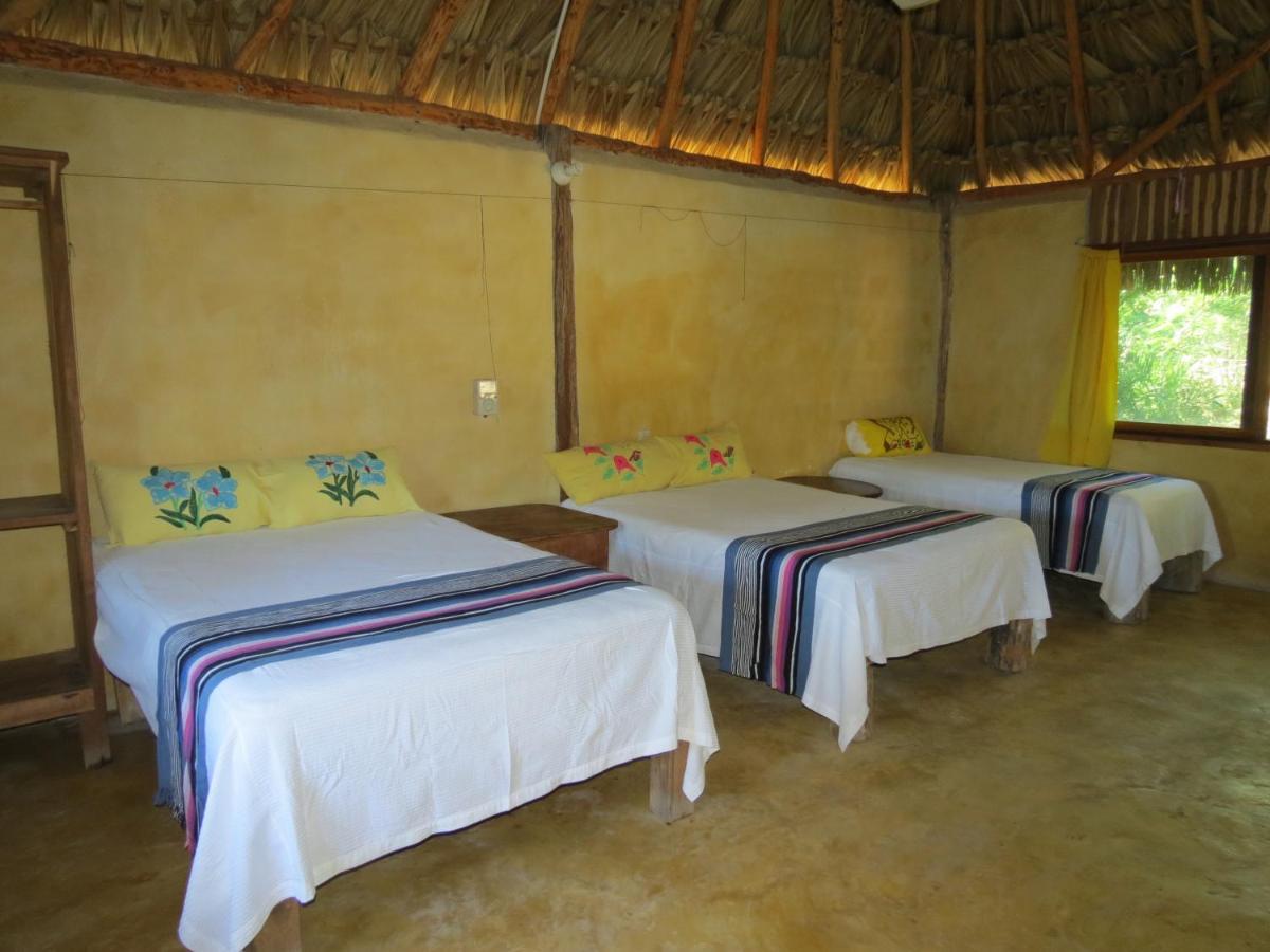 Calakmul * Conhuas